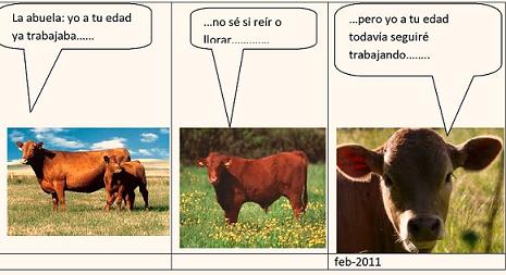 20110223155553-las-vacas-4.jpg