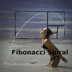 20110405195858-espiral-de-fibonacci.jpg